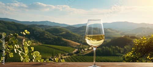 White wine being poured into a glass with a vineyard in the background representing winemaking