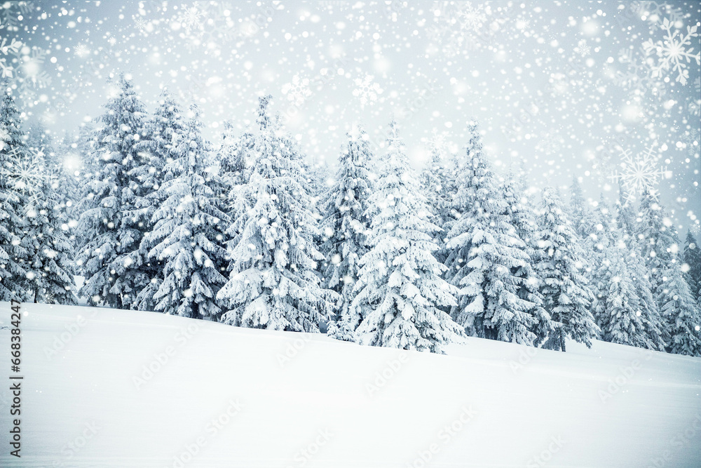 Fototapeta premium magical frozen winter landscape with snow covered fir trees