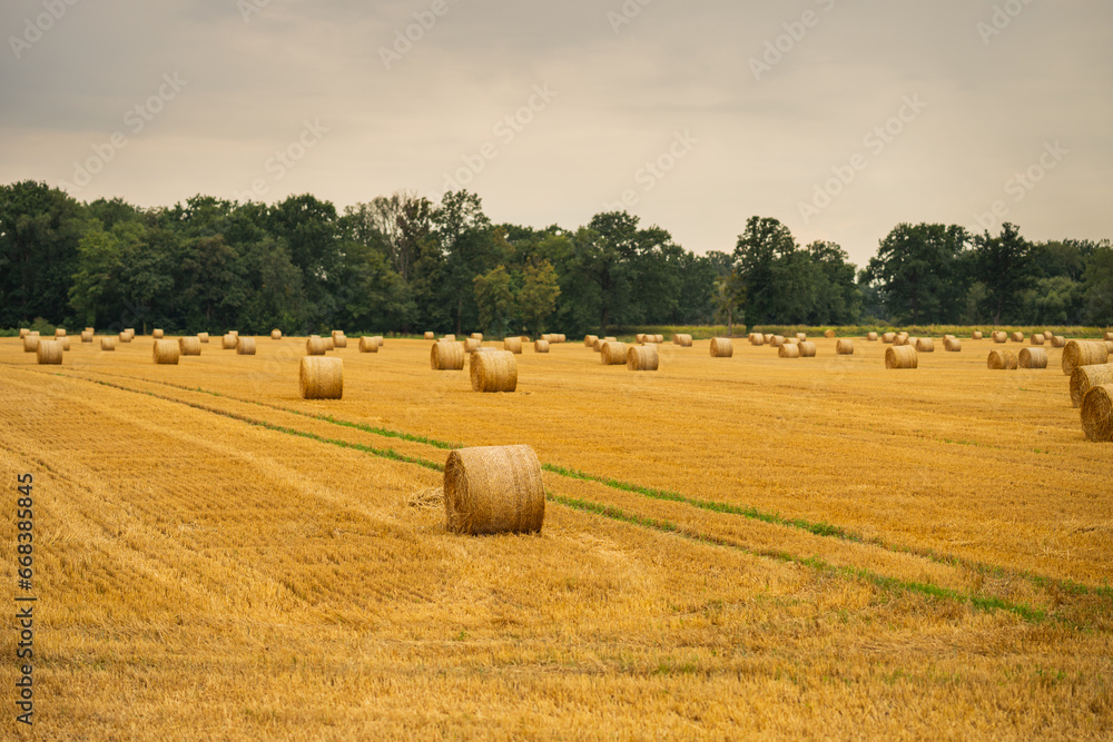 haystacks in the autumn season