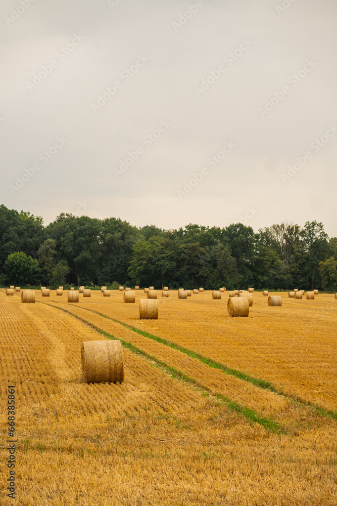 haystacks in the autumn season