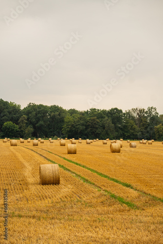 Obraz na płótnie haystacks in the autumn season w salonie