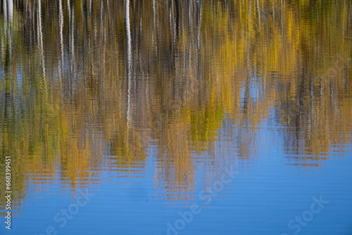 Silver Lake Aspen Reflection