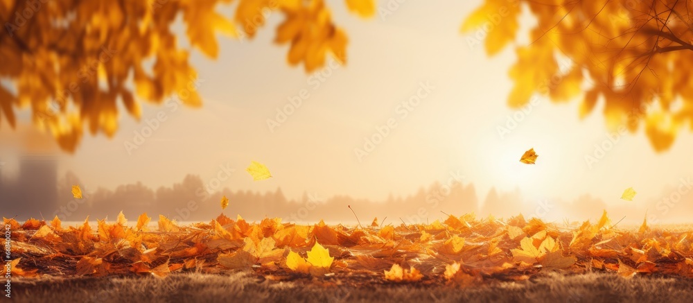 Vibrant autumn scene with yellow trees sun and falling leaves