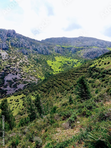 Uncover the ethereal splendor of the mountain realm, a journey into the heart of nature's breathtaking beauty and tranquility