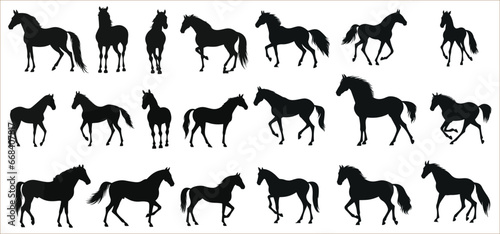 A silhouette of a running horse, black horse silhouette, vector illustration 