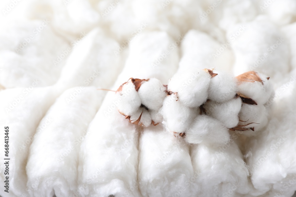 Soft flowers on clean cotton, closeup. Space for text Soft flowers on clean cotton, closeup. Space for text