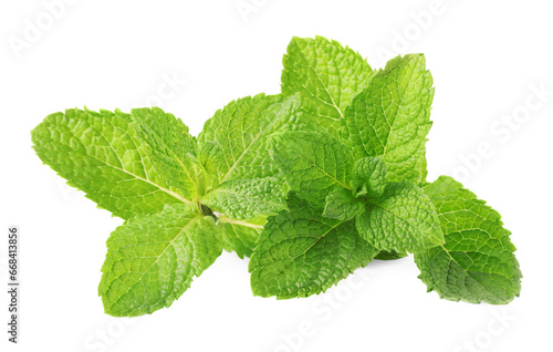 Fresh green mint leaves isolated on white