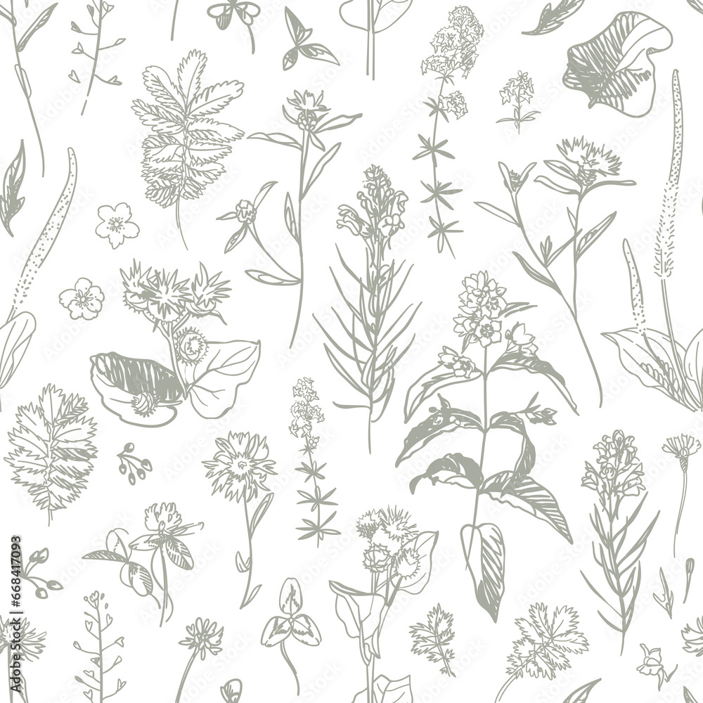 Wild flower on a white background. Wild herbs for wallpaper, textile, wrapping paper. Sketch style. Hand drawn vector seamless pattern