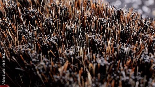 Close-up of the BRISTLES of a clothes brush with shallow depth of field. Dolly macro movement reveals complex texture.