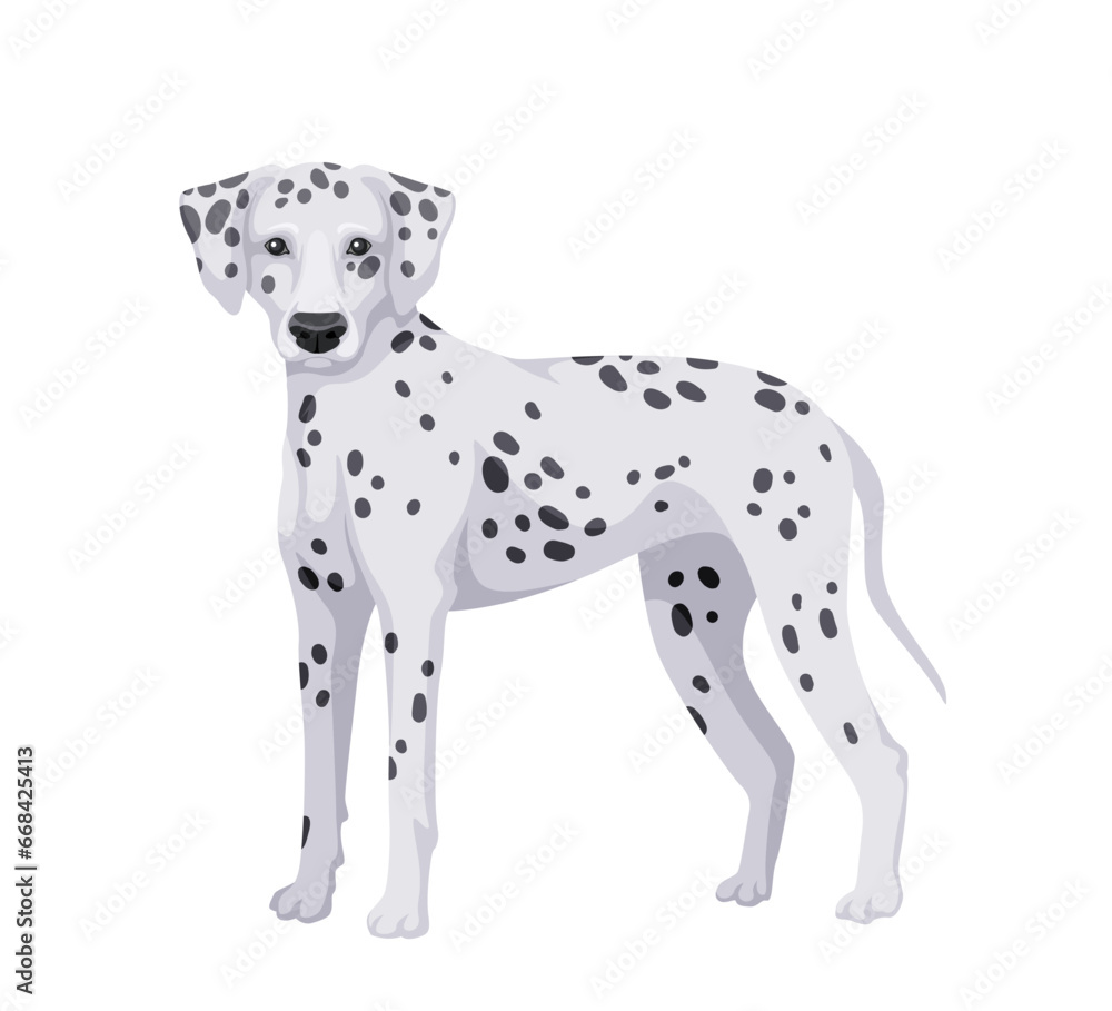 Cute dog concept. Adorable breed of pet and domestic animal. Dalmatian doggy and puppy. Graphic element for website. Cartoon flat vector illustration isolated on white background