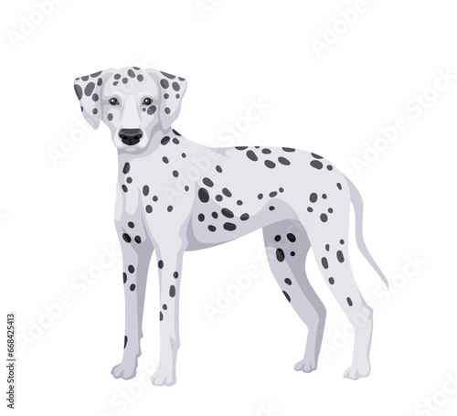 Cute dog concept. Adorable breed of pet and domestic animal. Dalmatian doggy and puppy. Graphic element for website. Cartoon flat vector illustration isolated on white background