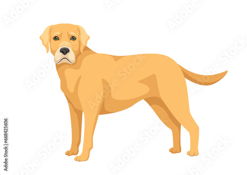 Cute dog concept. Adorable breed of pet and domestic animal. Cute beige puppy. Wildlife and fauna. Template and layout. Cartoon flat vector illustration isolated on white background