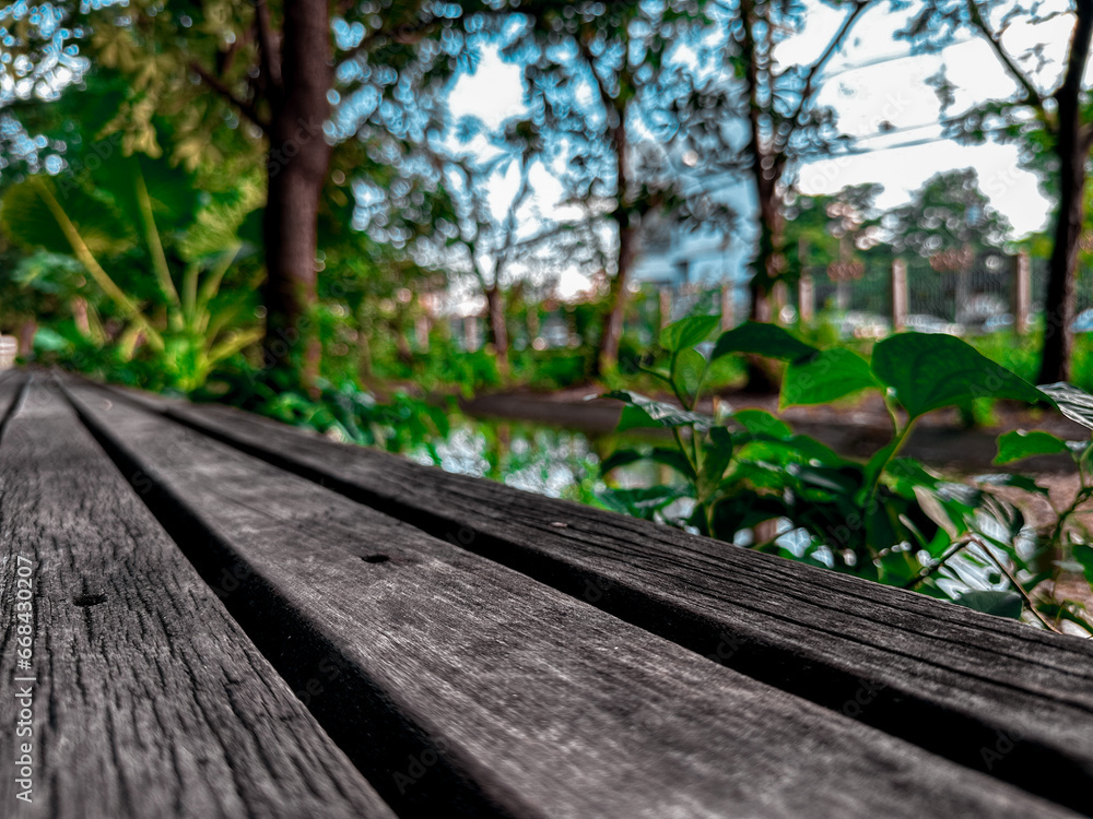 Wooden seats with a pond in the back and natural greenery Wooden seats with a pond in the back and natural greenery