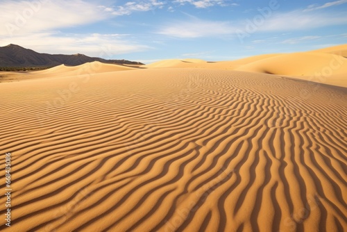 Windswept sand dunes with patterns etched by the desert wind.