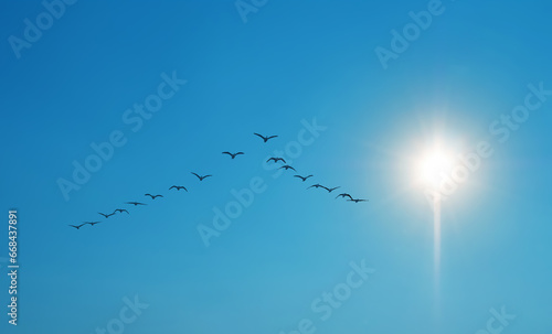 Symmetric V-shaped flight formation of flights of birds over clear sky