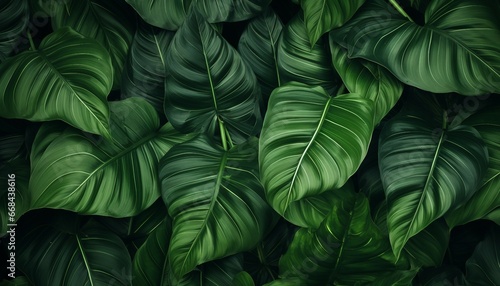 Wallpaper Mural tropical leaves background top view, closeup nature view of green leaves background. Generative AI Torontodigital.ca