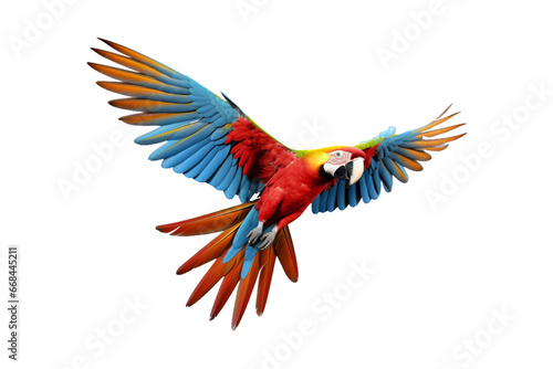 colorful scarlet macaw parrot flying beautifully isolated on a transparent background. Generative AI