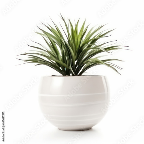 A beautiful and sustainable home accessory  a green plant in a modern white planter. Purifying your air and adding a touch of elegance to your space. AI Generative.