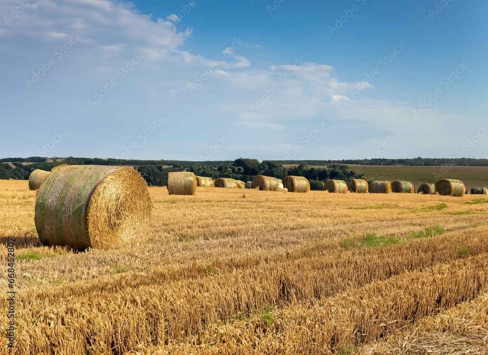 bales of hay in farm field early in the morning - Generative AI