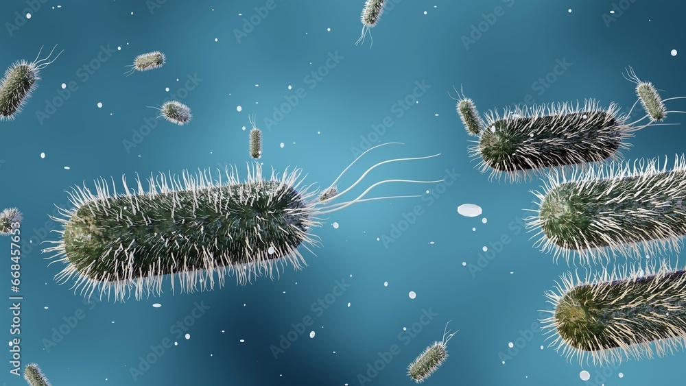E. coli stands for Escherichia coli is a bacteria that is commonly