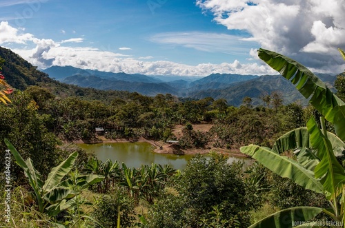 lago y montañas, selva  photo