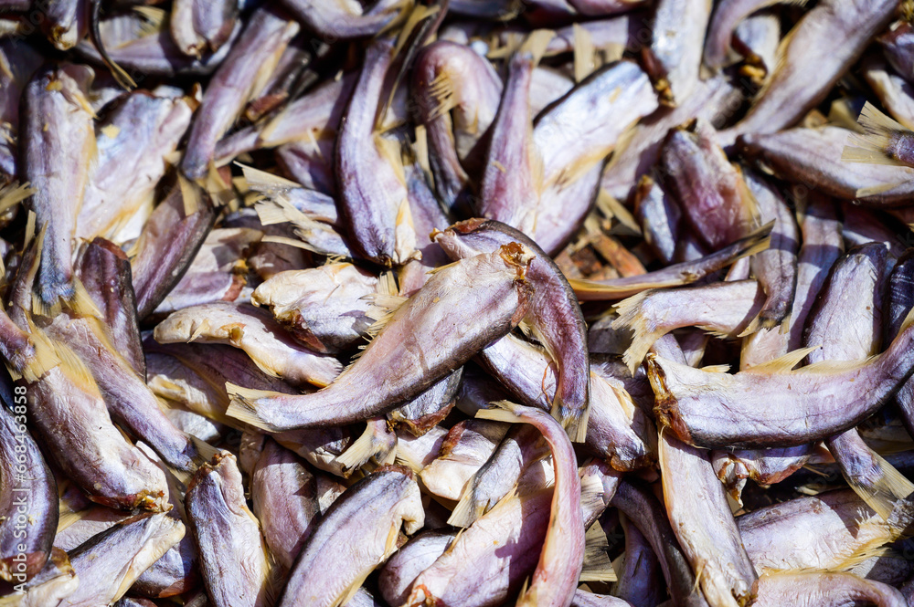 Sun dried fish