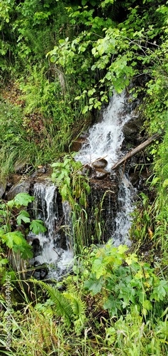 Waterfall in the forest