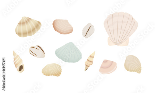 Set of seashells.  Hand drawn vector illustration. 
