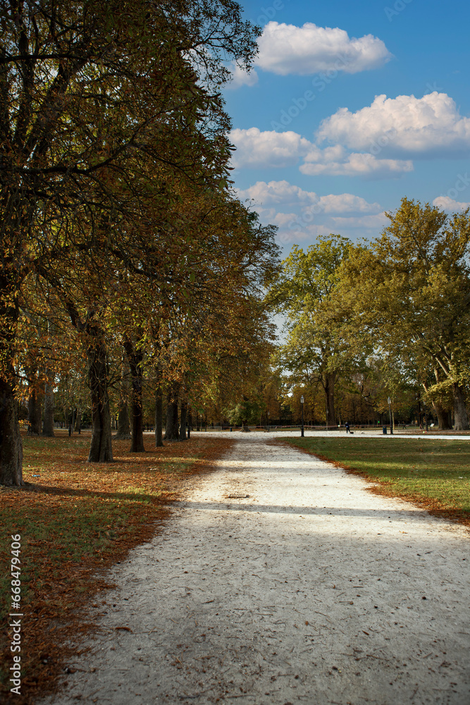 autumn landscape of Ducale park Parma Italy