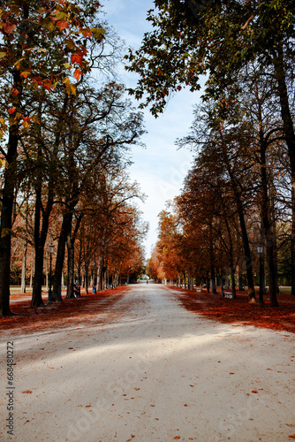 autumn landscape of Ducale park Parma Italy