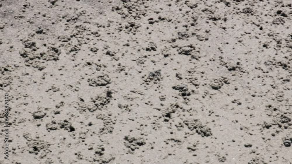Close up of a crab walking on a sandy beach Close up of a crab walking on a sandy beach