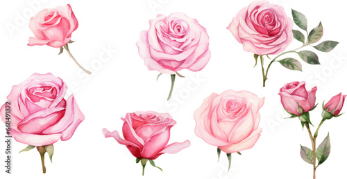 set pink rose flower clipart