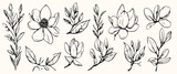 Set of handmade cotton flowers. Flower buds vector illustration. Botanical illustration for floral background. Design element for postcard, poster, cover, invitation. no AI created