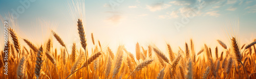 Ears of wheat in a wheat field. Generative AI,