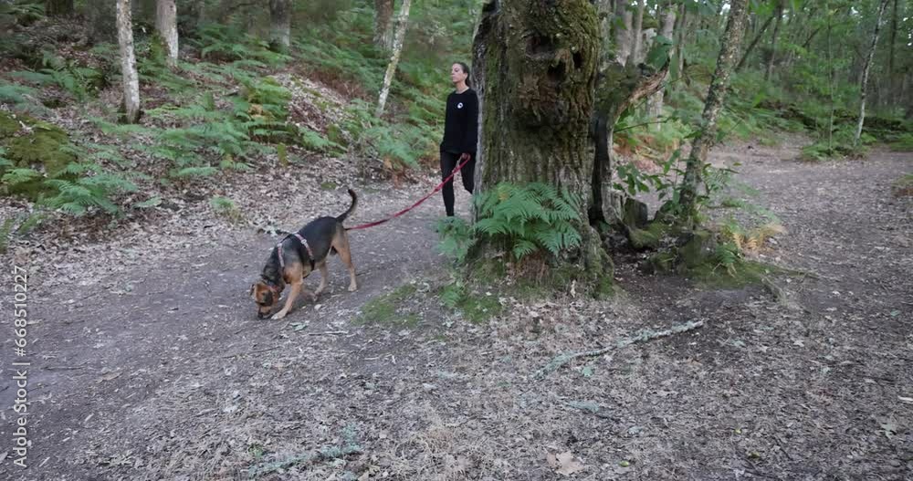 Woman and man walking with dogs on forest path Woman and man walking with dogs on forest path