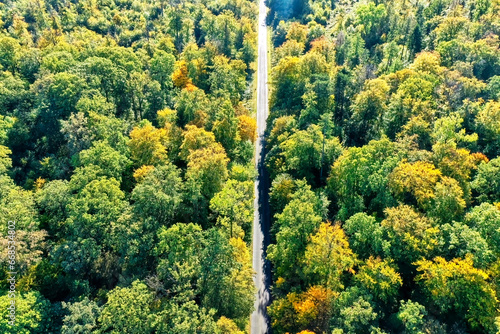 Aerial View of a Narrow Gray Country Road through the Autumnal Forest of Elm near Königslutter, Germany photo