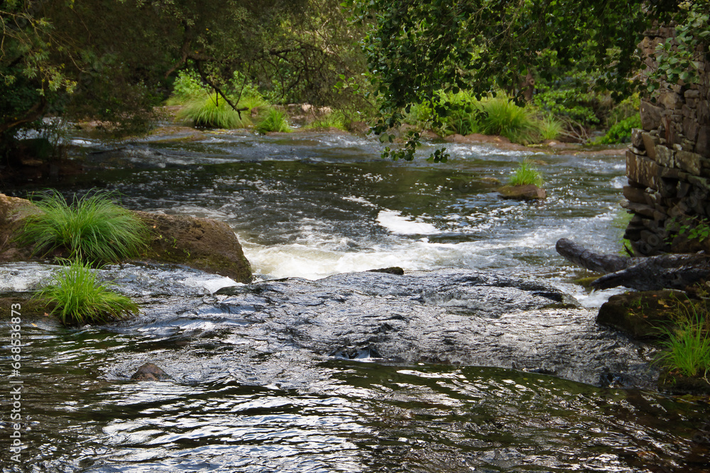 Beautiful landscape formed by small waterfalls on stones within a lush and green forest. Concept landscape, water, forest, vegetation, humidity. Beautiful landscape formed by small waterfalls on stones within a lush and green forest. Concept landscape, water, forest, vegetation, humidity.