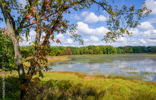 Wetlands at Jamestown Audubon Center and Sanctuary © Zack Frank