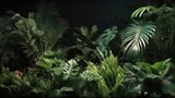 Tropical plants in a botanical garden on a dark background