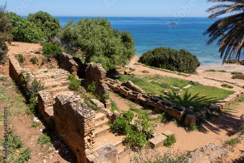 Ruins of the Roman Archeological Park of Tipaza ( Tipasa ), Algeria. Green trees and spring maritime flowers. Antique tombs.