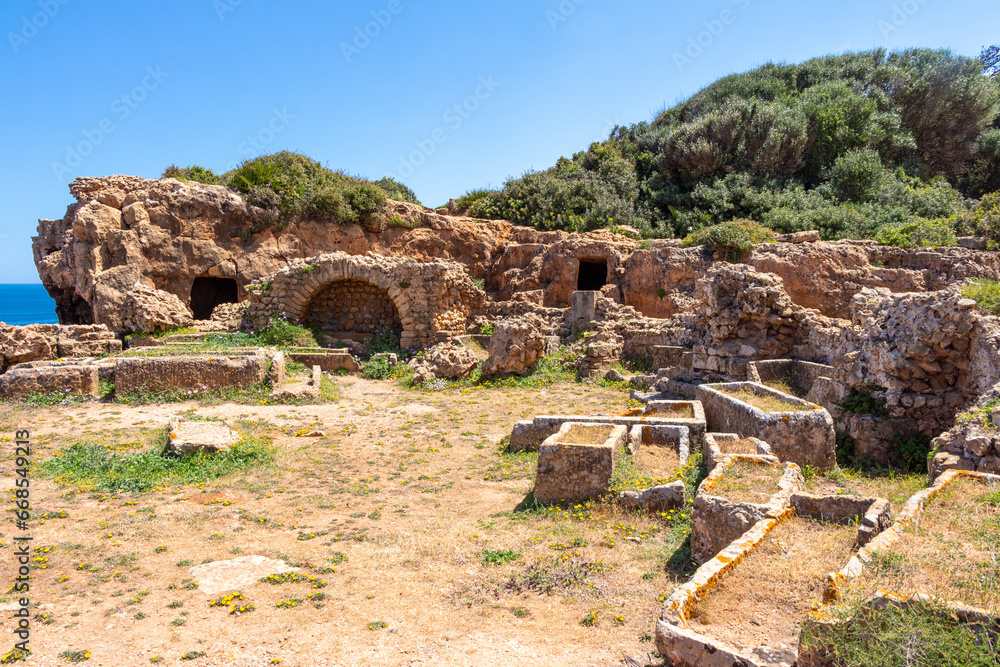 Ruins of the Roman Archeological Park of Tipaza, Tipasa, Algeria. Tombs in the circular mausoleum with the Mediterranean sea in the background. Maritime spring flowers.