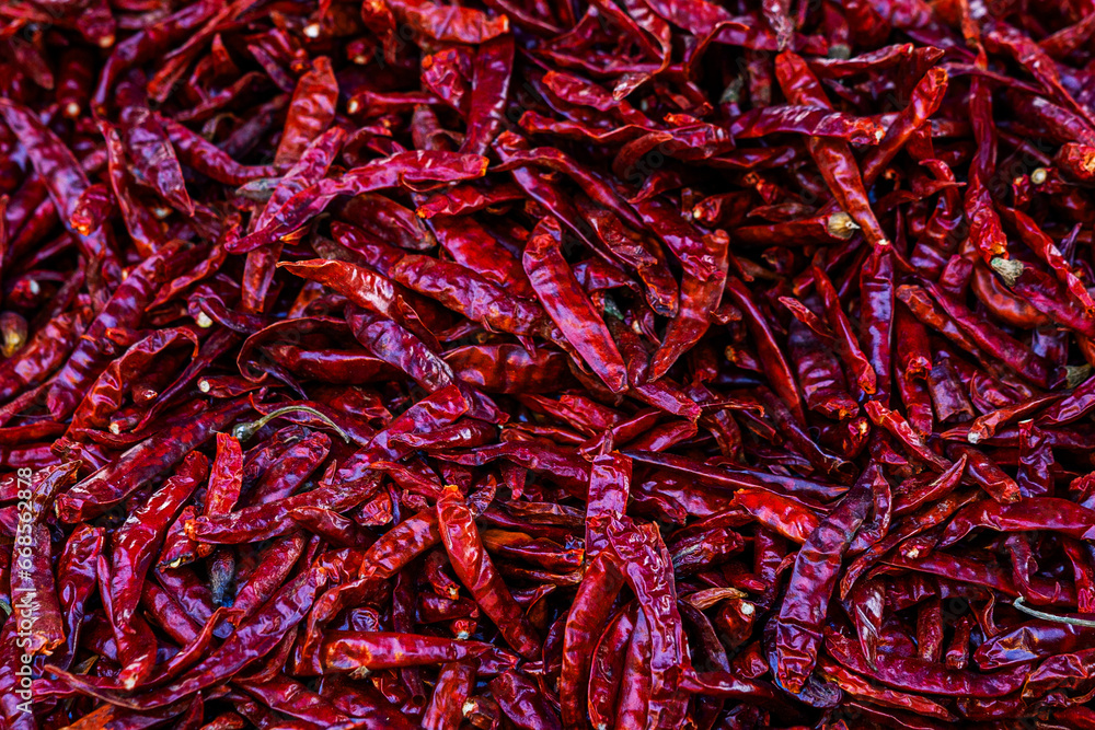 Fototapeta premium red chilli peppers dry hot chilli background red dry chilli.