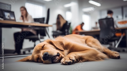 Dog peacefully sleeping in busy office environment. Pet is comfortably layed on floor with daily workspace rush in background. Busy business employees, computers, and office supplies in background