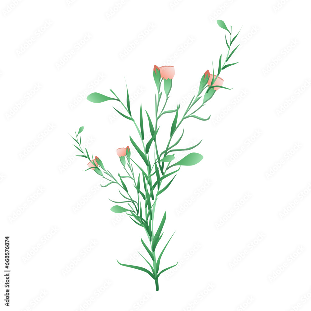Fototapeta premium Vecto wild flowers vector illustration on white