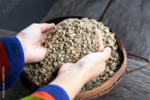 Green Coffee beans, farmer's hand holding coffee beans, agricultural and industrial concept. © Vatanika