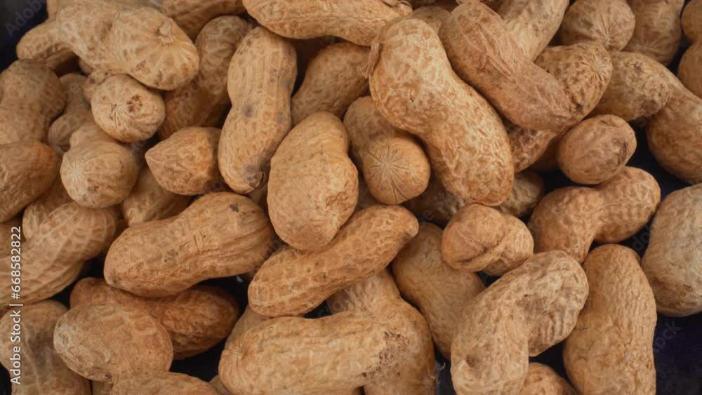 Peanuts in shells on a blue plate macro moving, food product used in many recipes like chocolates, sauces and oils, known allergen, healthy nuts, peanut allergy, 4K top shot Peanuts in shells on a blue plate macro moving, food product used in many recipes like chocolates, sauces and oils, known allergen, healthy nuts, peanut allergy, 4K top shot