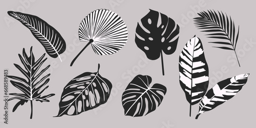 Set of hand drawn vector tropical leaves. Silhouettes of abstract branches in minimalistic flat style isolated. Natural elements for the design of patterns, ornaments #668589483