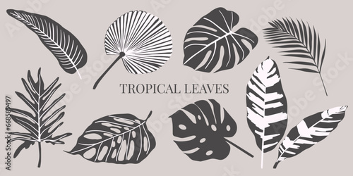 Set of hand drawn vector tropical leaves. Silhouettes of abstract branches in minimalistic flat style isolated. Natural elements for the design of patterns, ornaments
