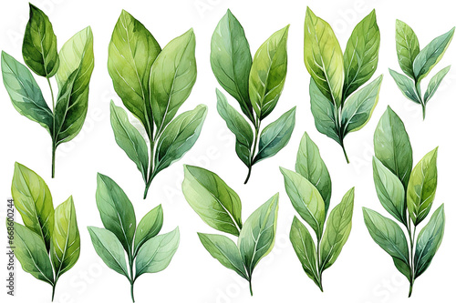  green leaves,palm leaf isolated PNG Background. Generative Ai.