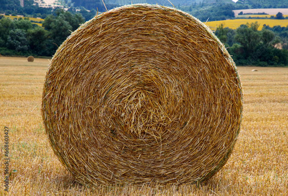 Big bale of hay on the field after harvest. Big bale of hay on the field after harvest.